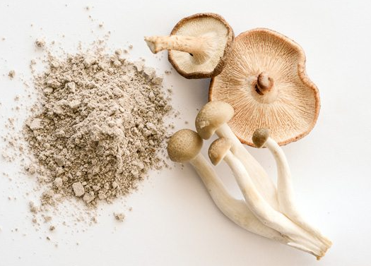 Mikä sieni on paras anti-aging.png